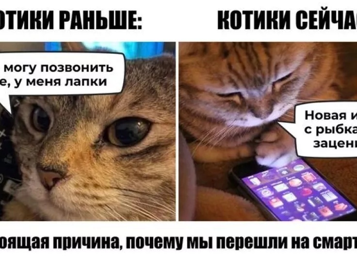 Юмор про мобильные телефоны: смартфон есть, ума не надо...
