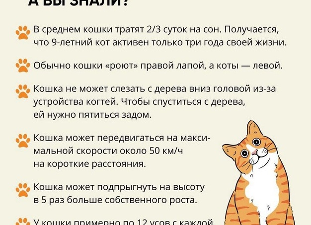 10 Интересных и коротких фактов про первые мобильные телефоны