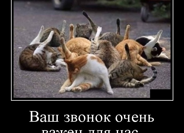 Ваш звонок очень важен для нас. В Казахстане берут на контроль все мобильные телефоны