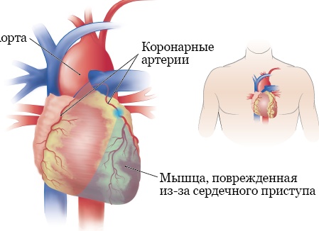 Аналитика: Самые продаваемые мобильные телефоны всех времен